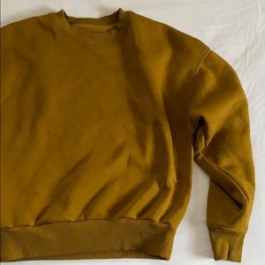 Everlane Sweatshirt